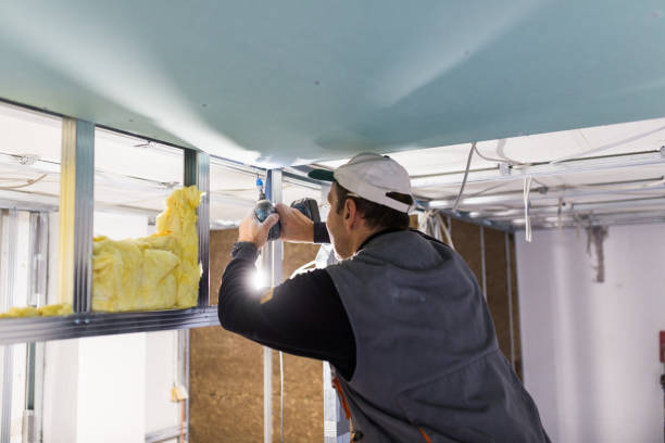 Best Insulation Maintenance and Repair in Slidell, LA